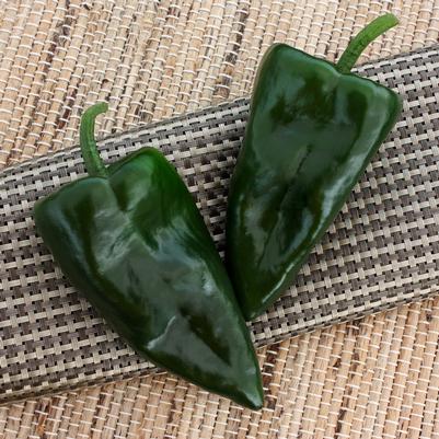 Vegetable 'Pepper Trident'