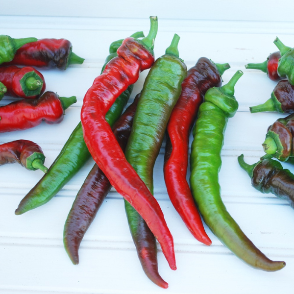 Vegetable 'Pepper Jimmy Nardello's'