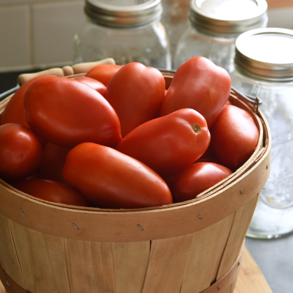 Weezie's Garden 'Tomato La Roma IV Red'