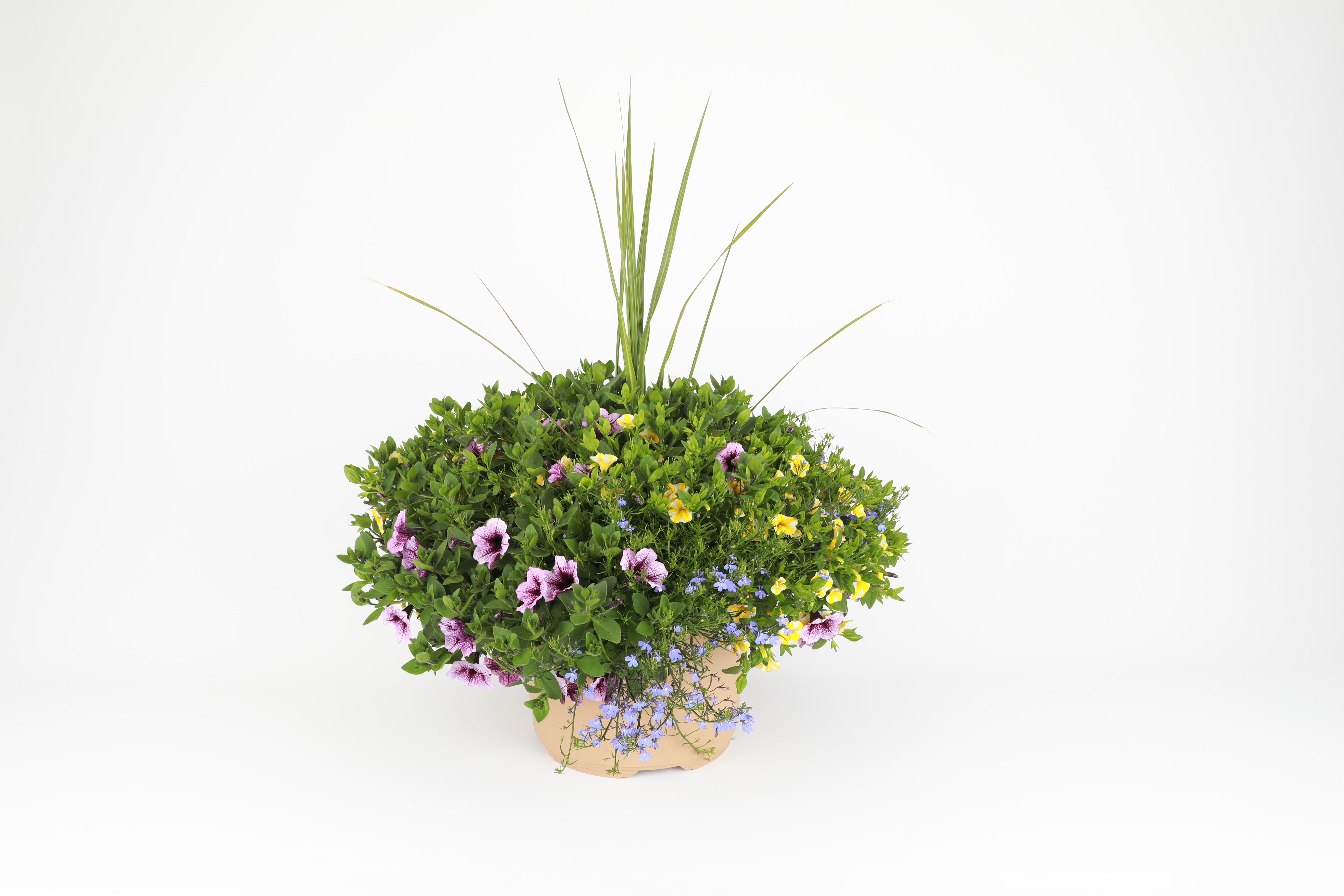 Spring Combo 'Combo #09'