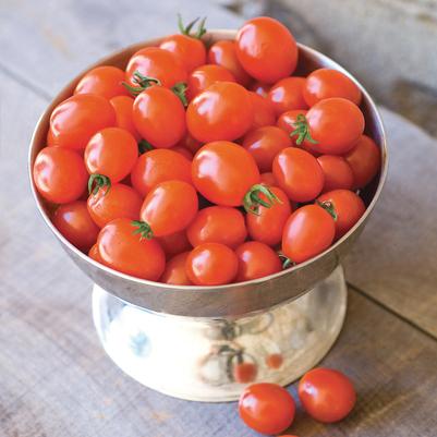 Weezie's Garden 'Tomato Red Grape'