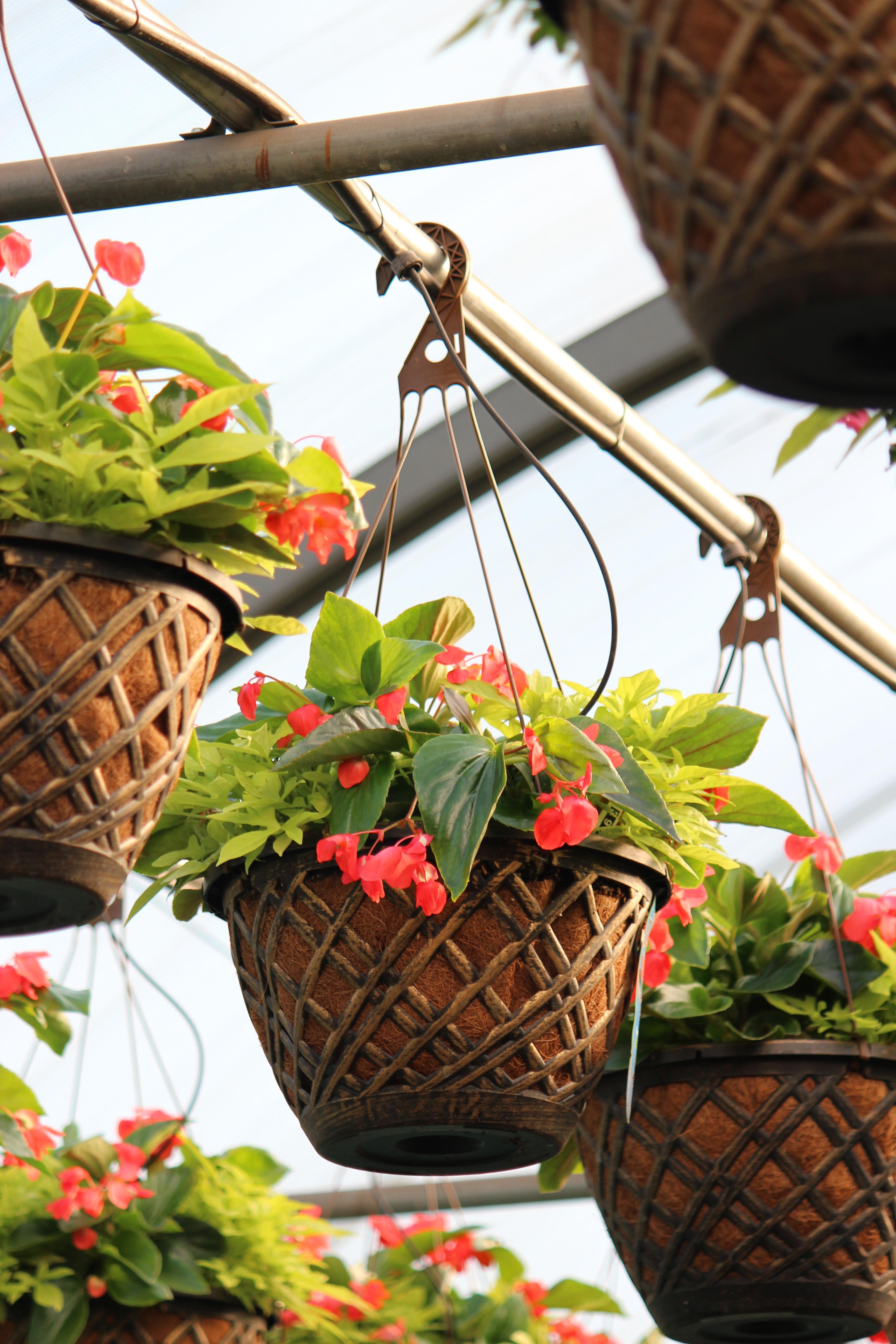 Spring Combo 'Shade Combo #2'