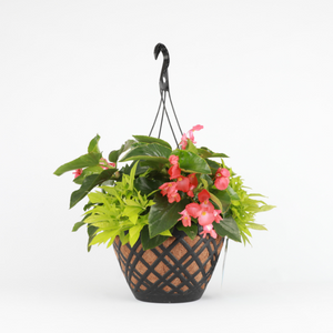 Spring Combo 'Shade Combo #2'